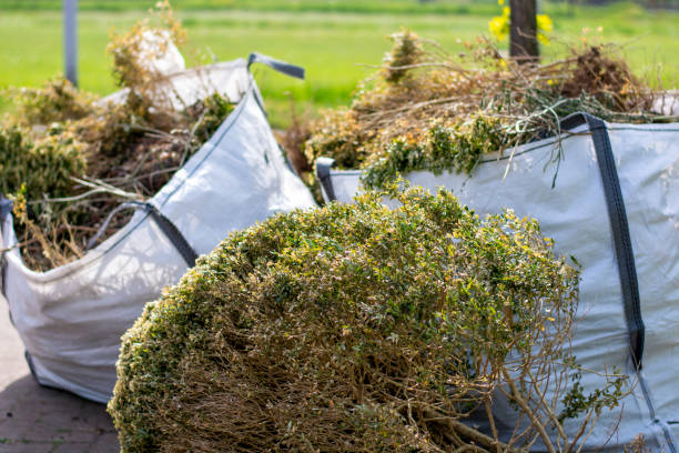 Best Attic Cleanout Services  in Bent, NE